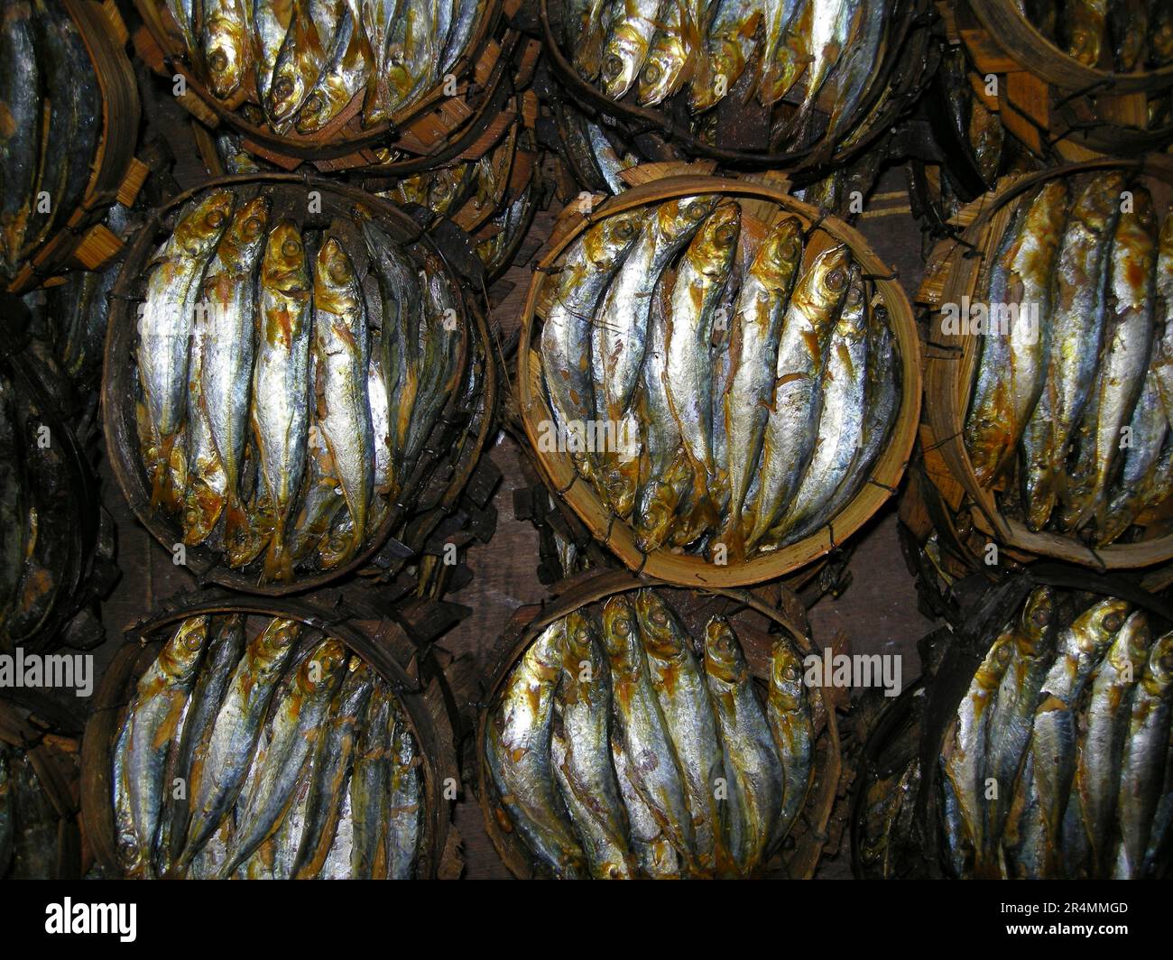 Dried fish in central market, Baguio, Philippines Stock Photo