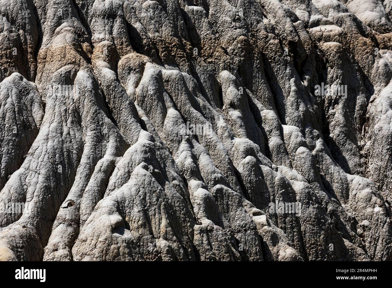 Erosion leaves featured textures in the dirt in North Dakota. Stock Photo