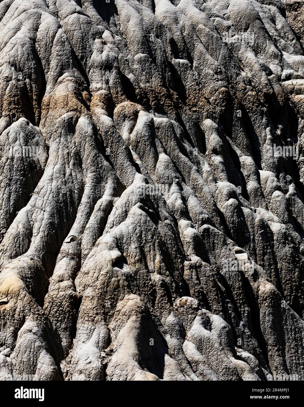 Erosion leaves featured textures in the dirt in North Dakota. Stock Photo