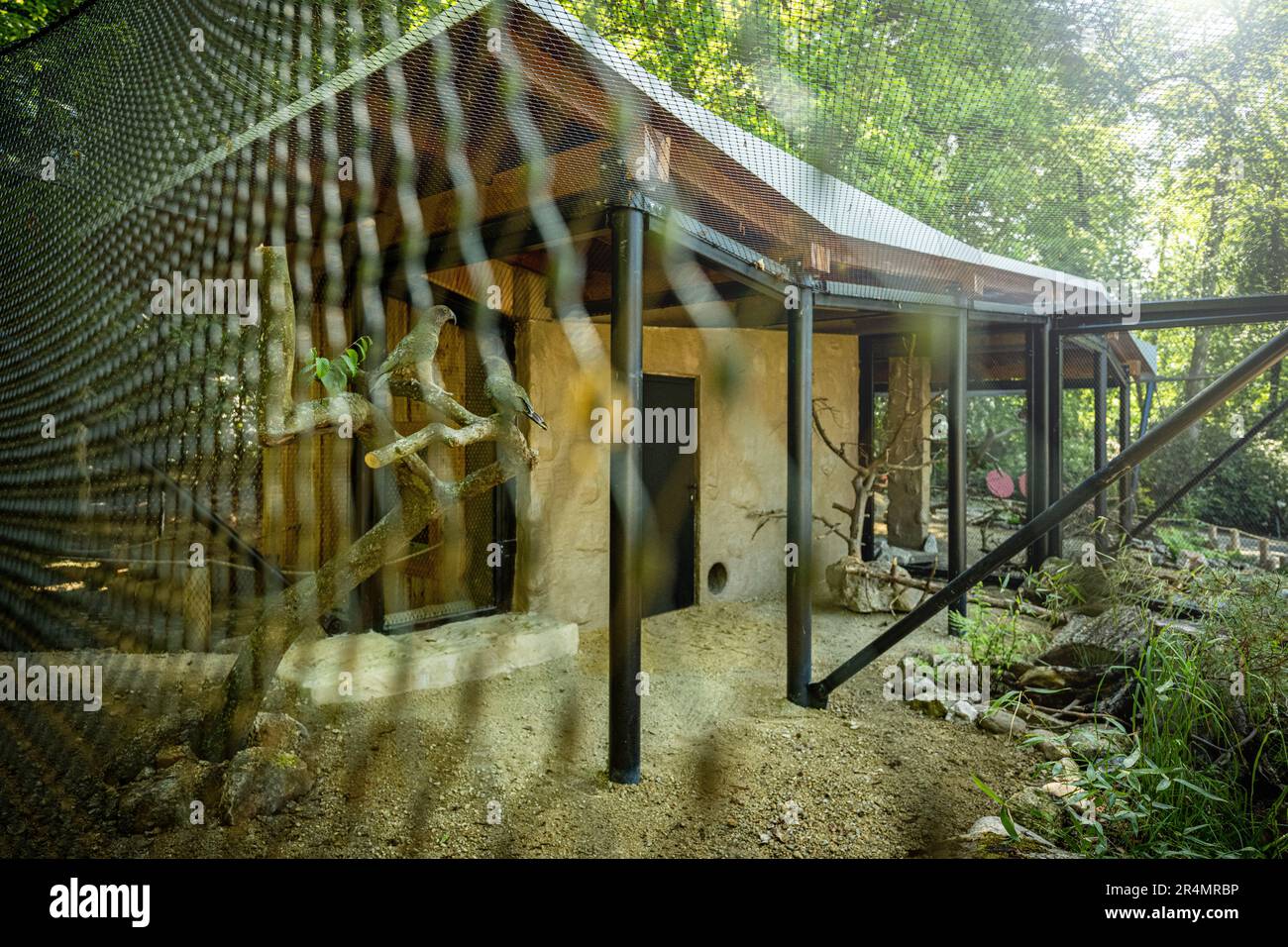 Gallery image with a fresh perspective