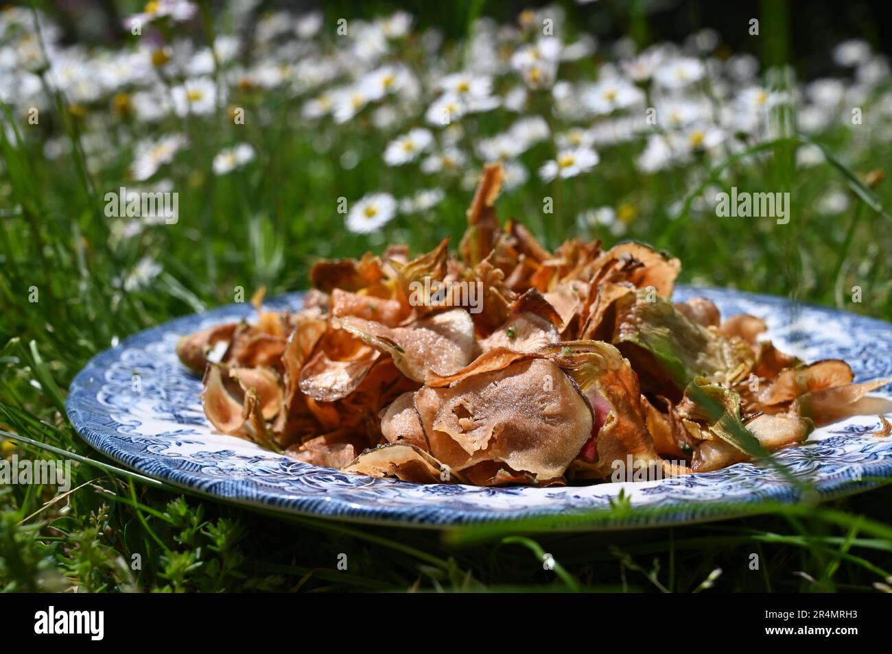 Veggie crisps made from beetroot, zucchini, and other vegetable Stock Photo
