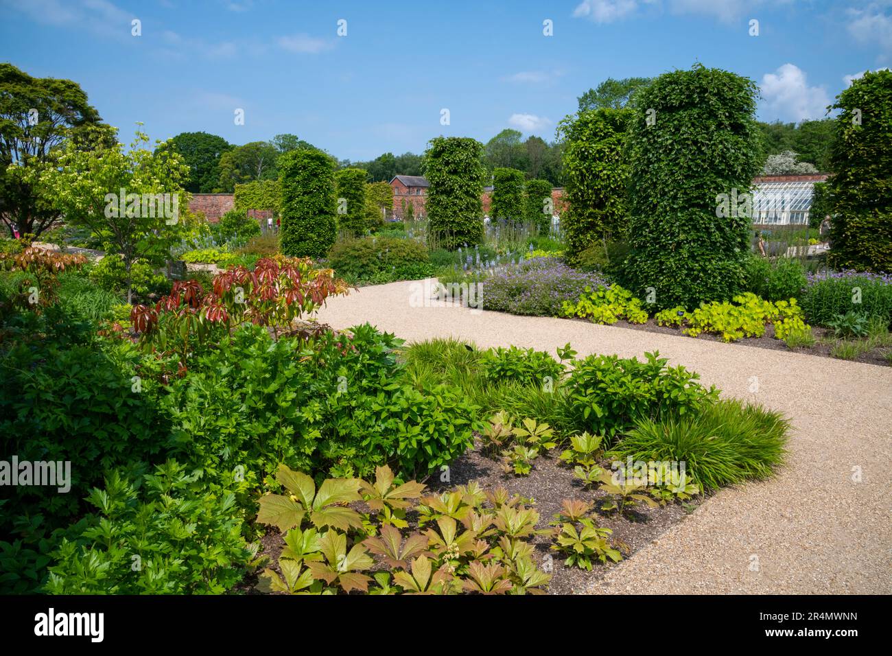 the-paradise-garden-at-rhs-bridgewater-worsley-greater-manchester