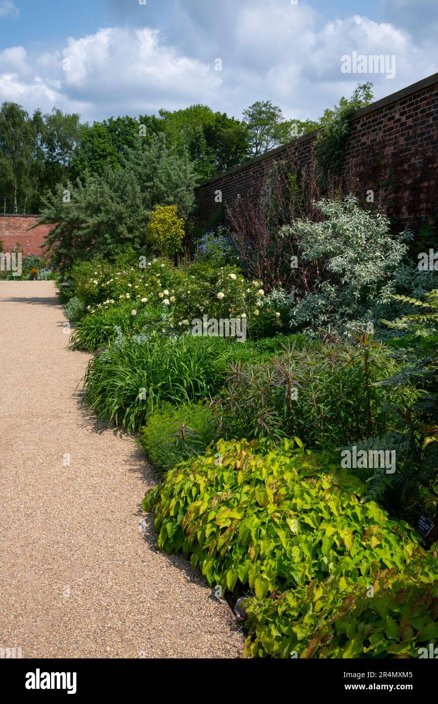 Herbaceous border in the Paradise Garden at RHS Bridgewater, Worsley Greater Manchester, England. Stock Photo