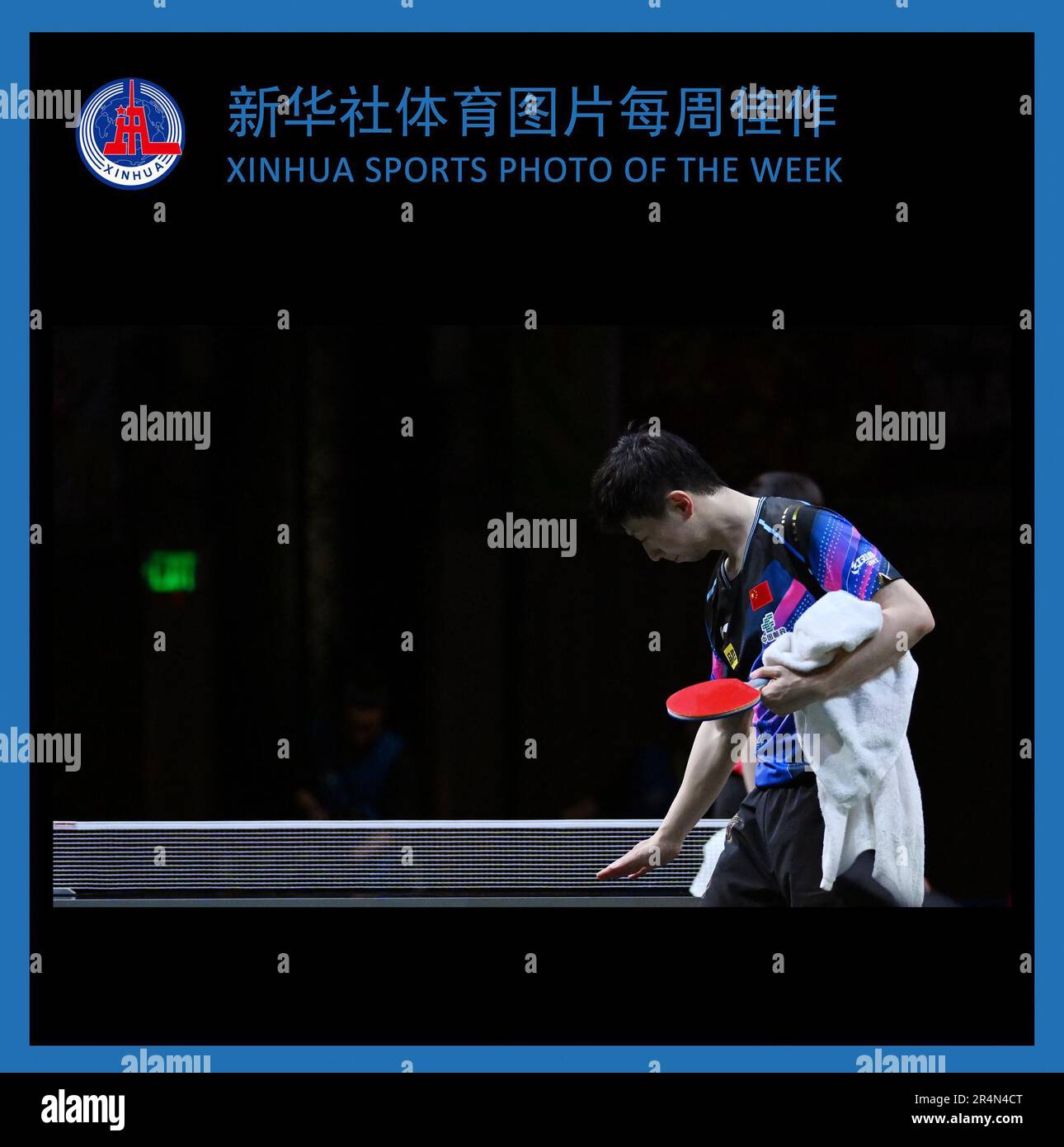 World table tennis 2023 hires stock photography and images Alamy
