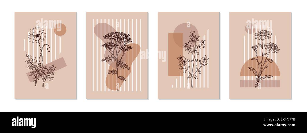 Set of modern floral aesthetic posters with field flowers. Hand drawn vector illustration. Sketch wildflowers Stock Vector