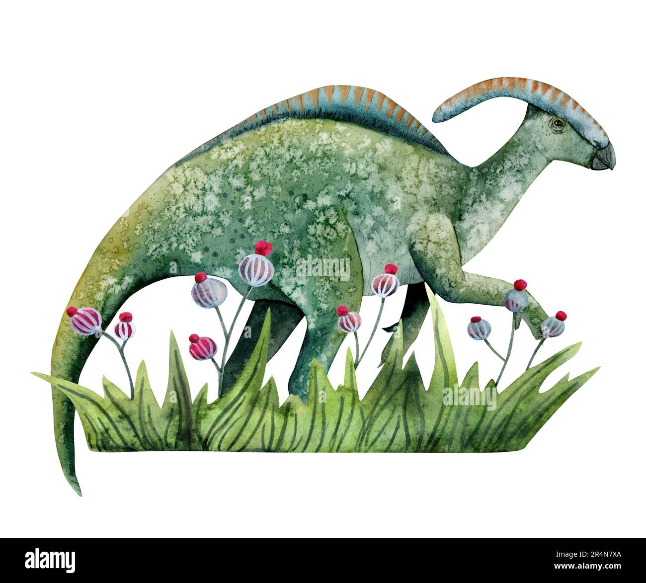 Parasaurolophus dinosaur on grass with fantasy flowers landscape watercolor illustration Stock Photo