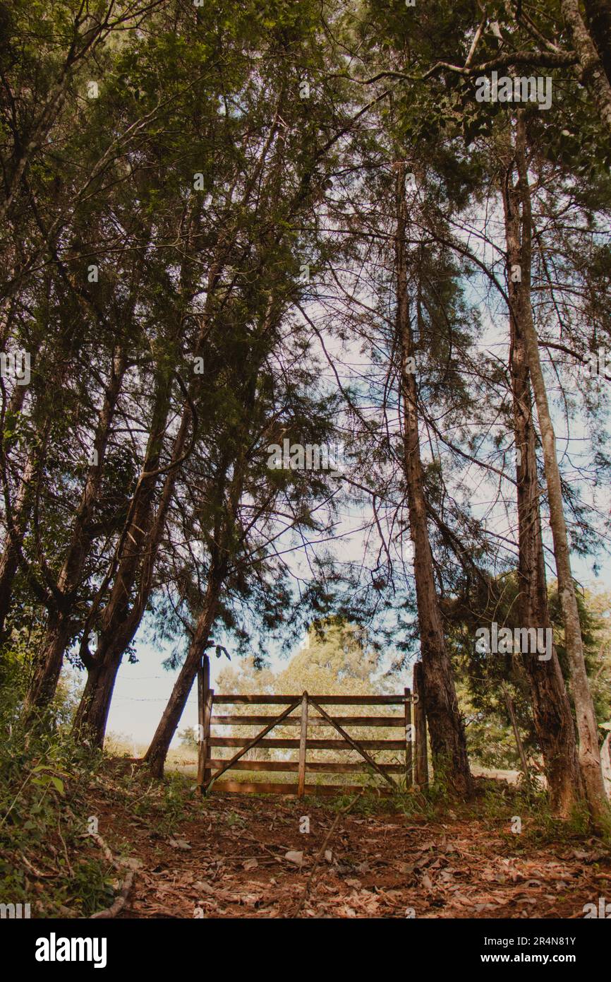 Rustic garden fence hi-res stock photography and images - Alamy