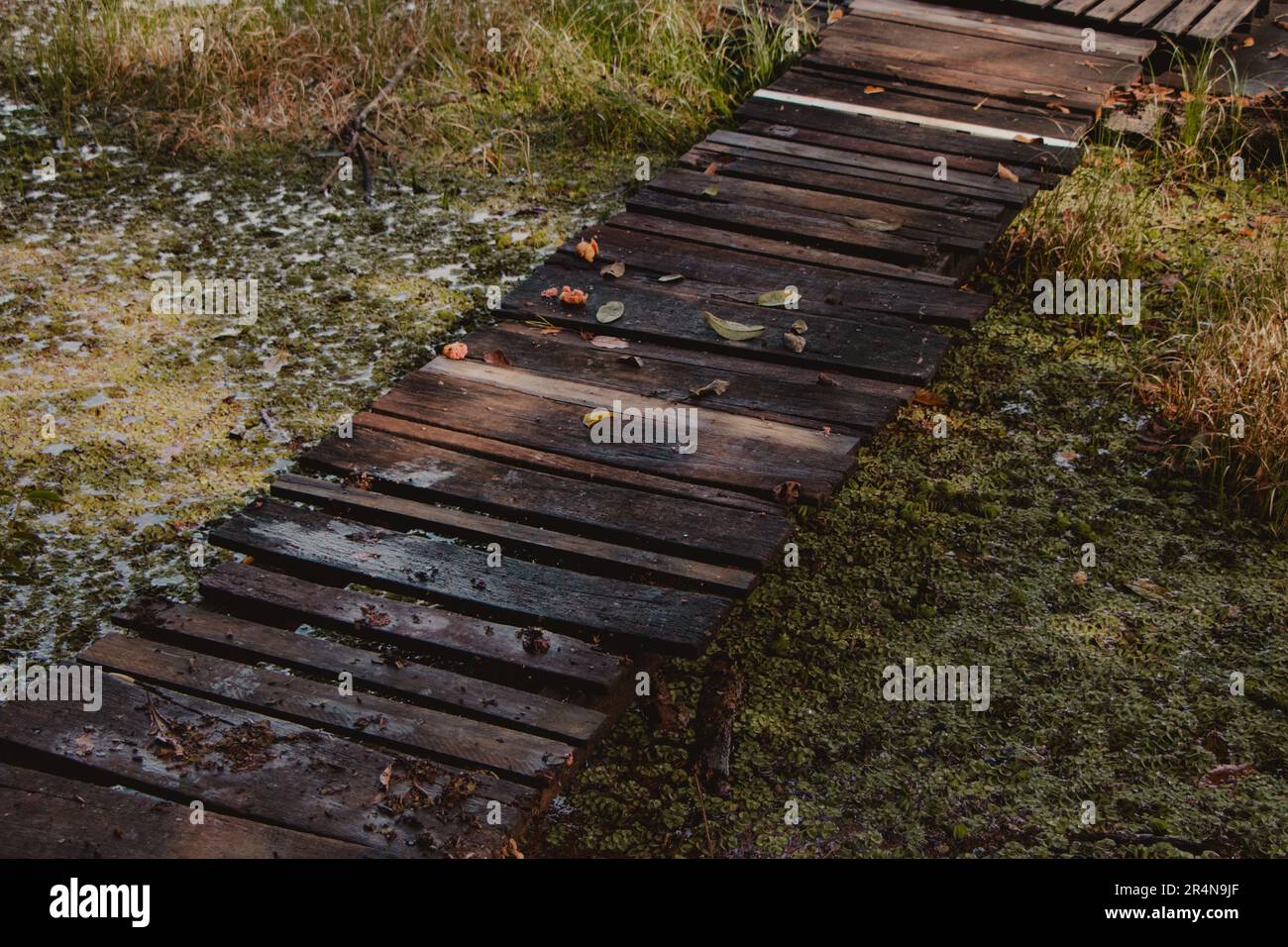 Bridge texture hi-res stock photography and images - Alamy