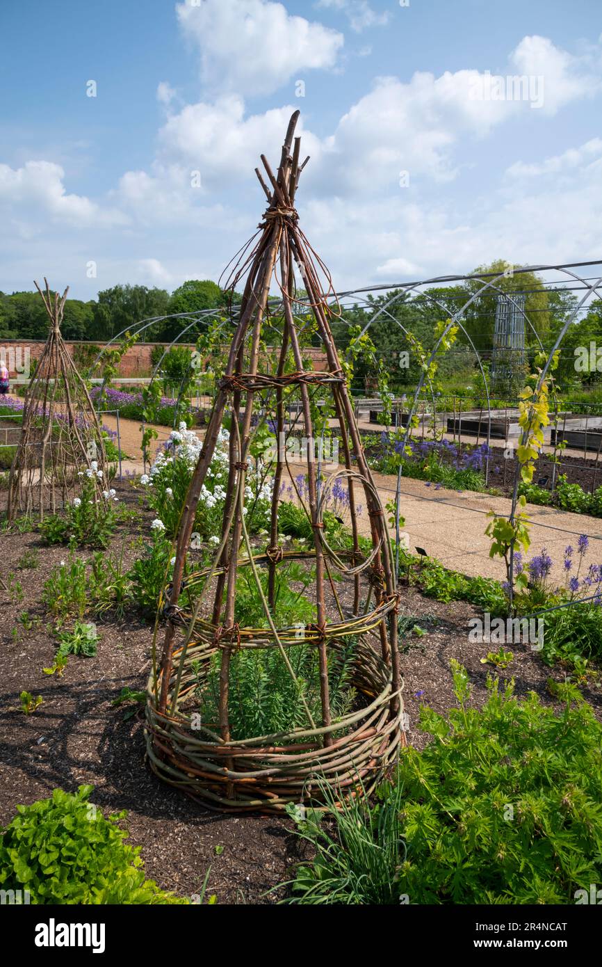 Ornamental woven plant supports in the Kitchen garden at RHS Bridgewater, Worsley Greater Manchester, England. Stock Photo