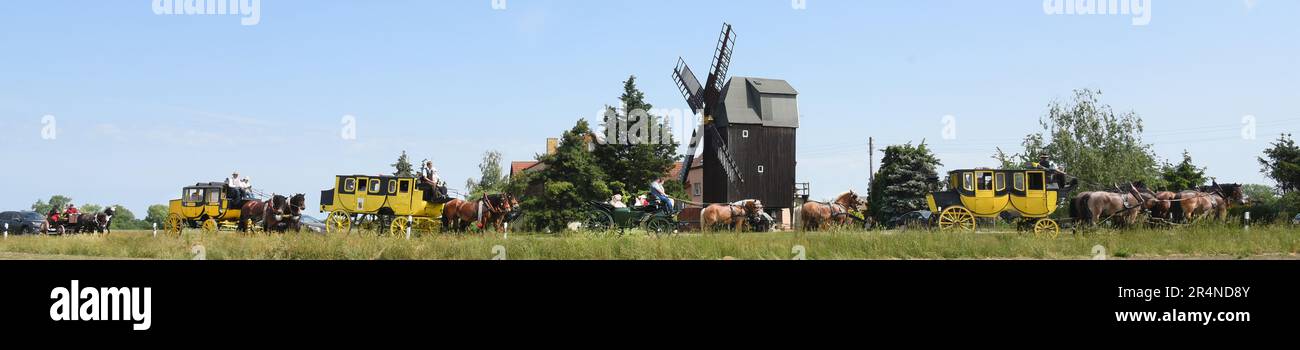 29 May 2023, Saxony, Hohenprießnitz, Bad Düben: Excursionists drive past the Bockwindmühle Wolkwitz in Glaucha in stagecoaches, landauers, wagonettes and hunting carriages. Every year at Whitsun, friends and acquaintances meet up with Siegfried Händler from the Bad Düben carriage driving service for a day trip to the surrounding area in northern Saxony. Photo: Waltraud Grubitzsch/dpa Stock Photo