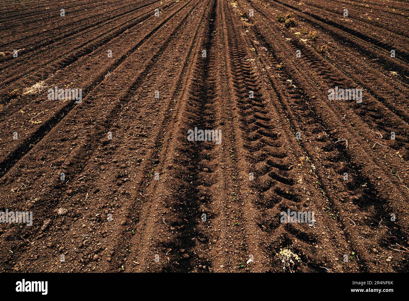 Tractor tyre tracks in plowed field soil in diminishing perspective Stock Photo