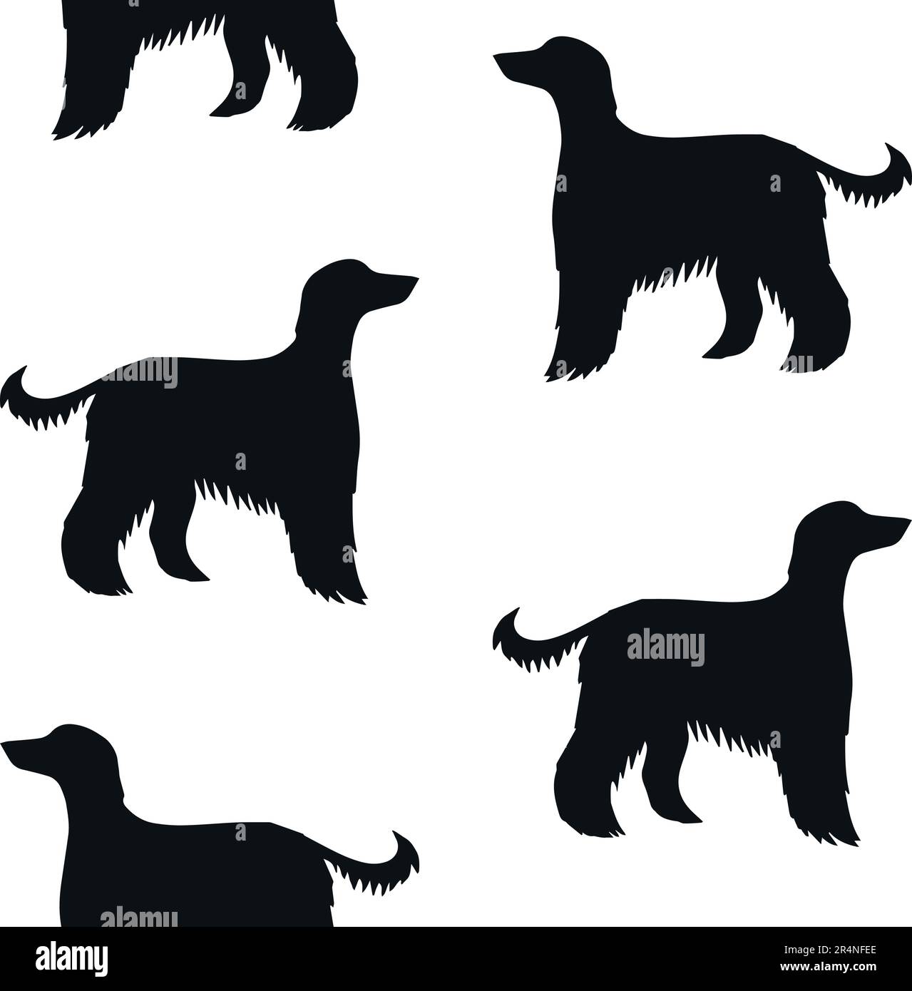 Vector seamless pattern of hand drawn Afghan hound dog silhouette isolated on white background Stock Vector