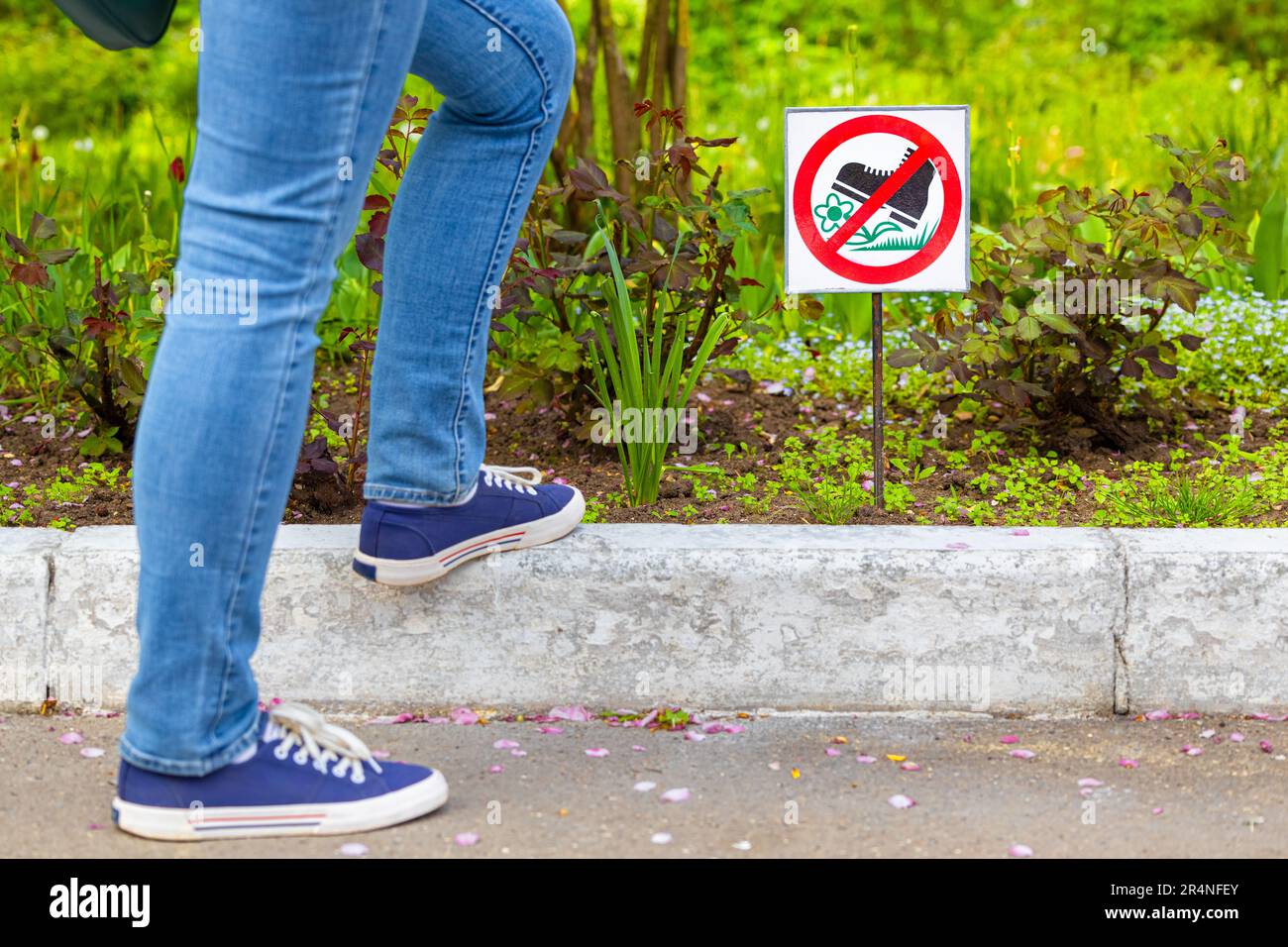 city-flower-bed-with-a-sign-forbidding-t