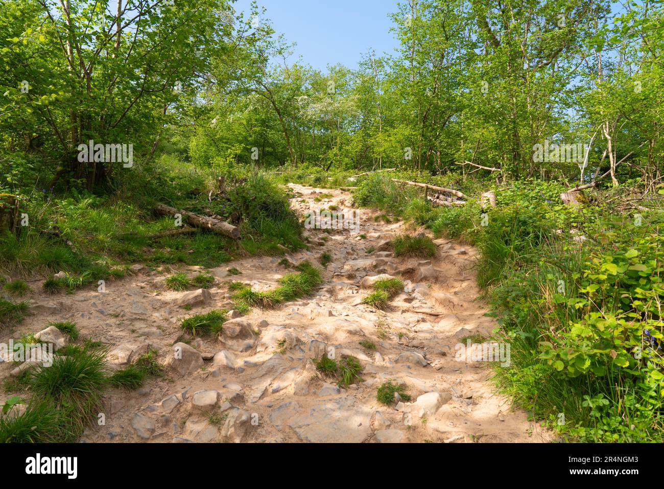 Draycott path Cheddar for walk at top of UK tourist attraction