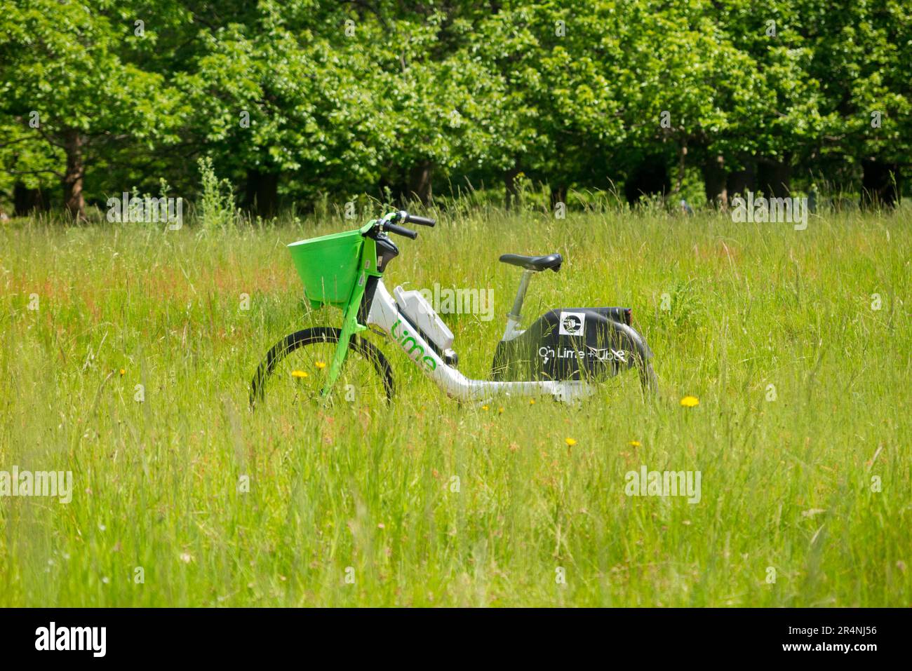 Lime cycle e bike / electric e bikes parked – or abandoned by reckless hirer cyclist – in a park in Richmond, Surrey. London, UK. (134) Stock Photo