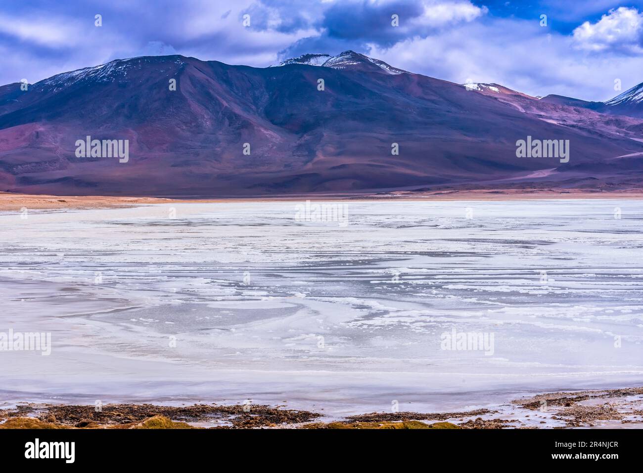 Frozen lagoon in the bolivian plateau Stock Photo