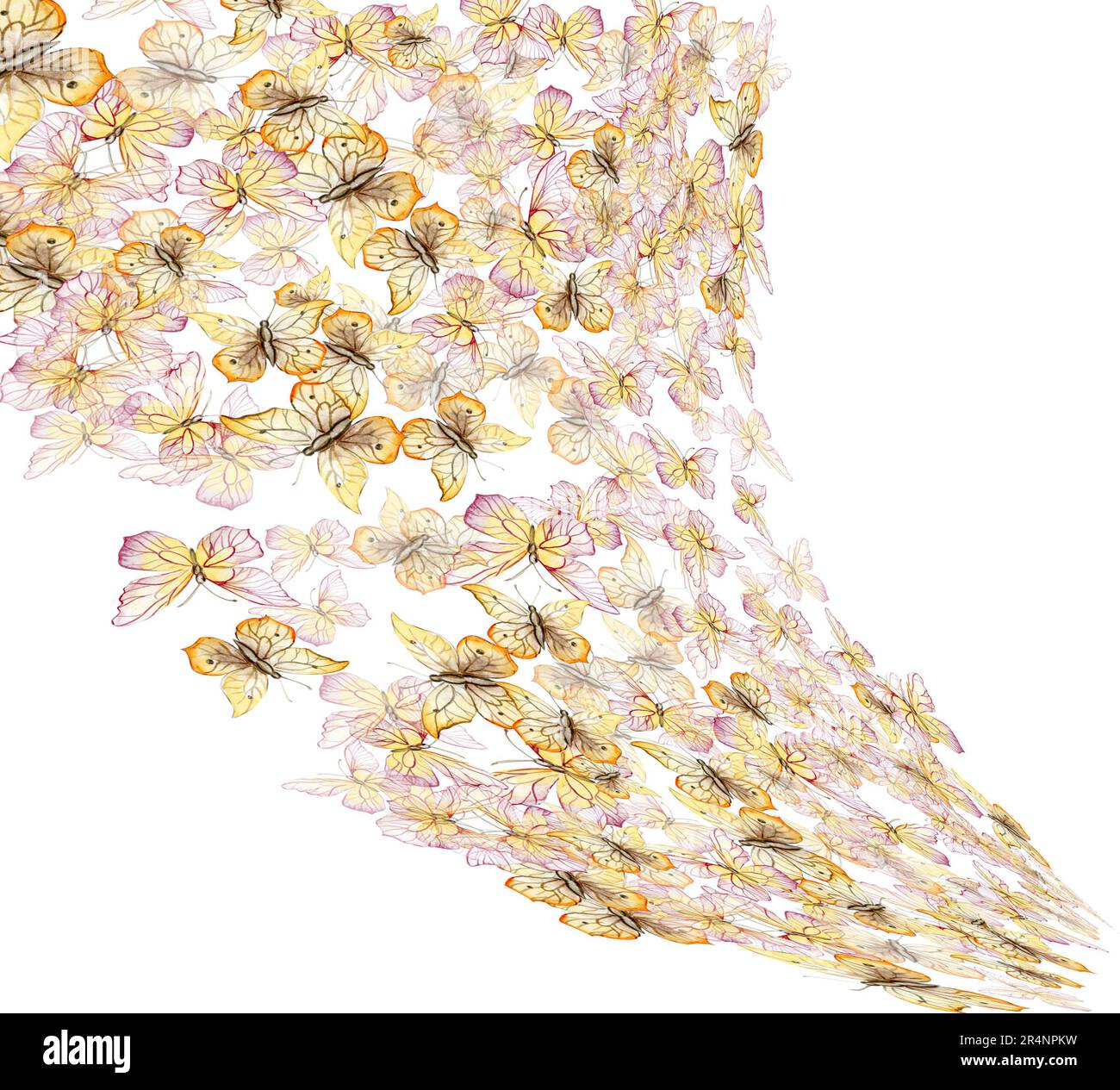 Delicate,yellow butterflies. Horizontal board, watercolor illustration