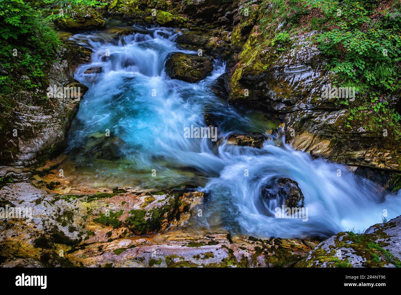 Mountain river Radovna flowing through rocky Vintgar Gorge in the Julian Alps, Triglav National Park, Slovenia. Stock Photo