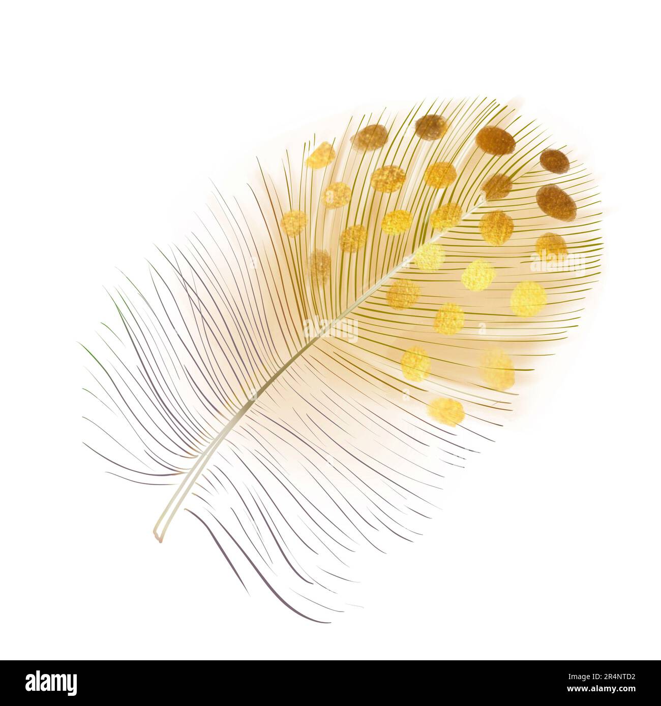 Gold Feathers Stock Illustrations – 10,818 Gold Feathers Stock