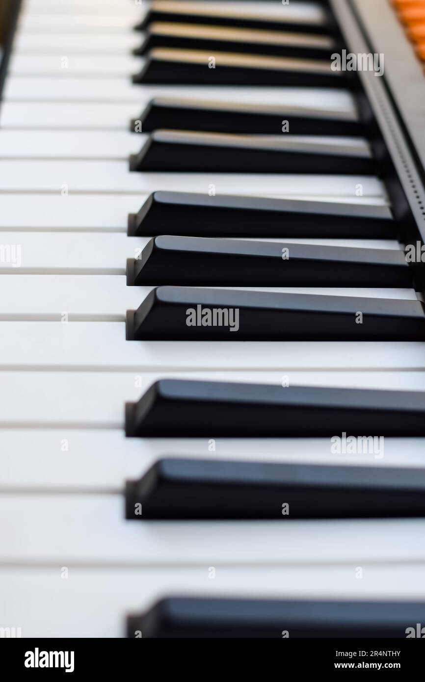 Closeup of piano keys. Piano black and white keys and Piano keyboard