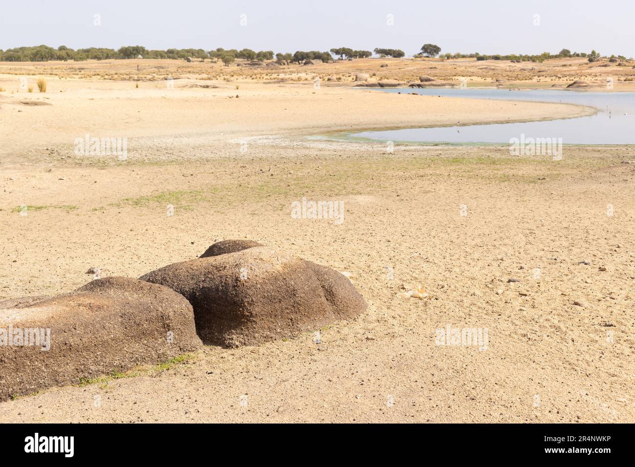 Rocks are visible when water level of swamp descends. You can see marks of water levels in rocks. Stock Photo