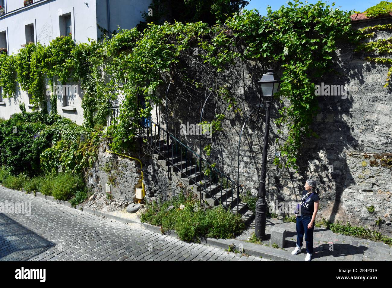 Rue Saint Vincent Street à Montmartre Paris, France Stock Photo Alamy