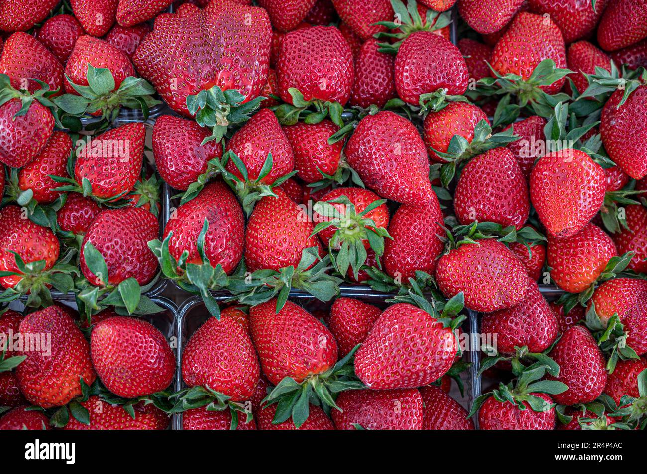 Close up view fresh strawberries hi-res stock photography and images ...