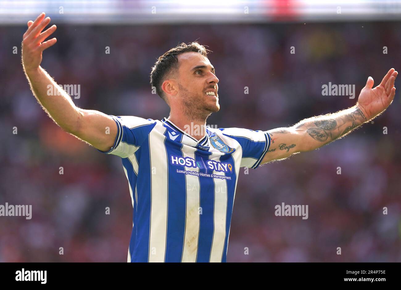 Sheffield Wednesday's Lee Gregory Celebrates His Side's First Goal Of ...