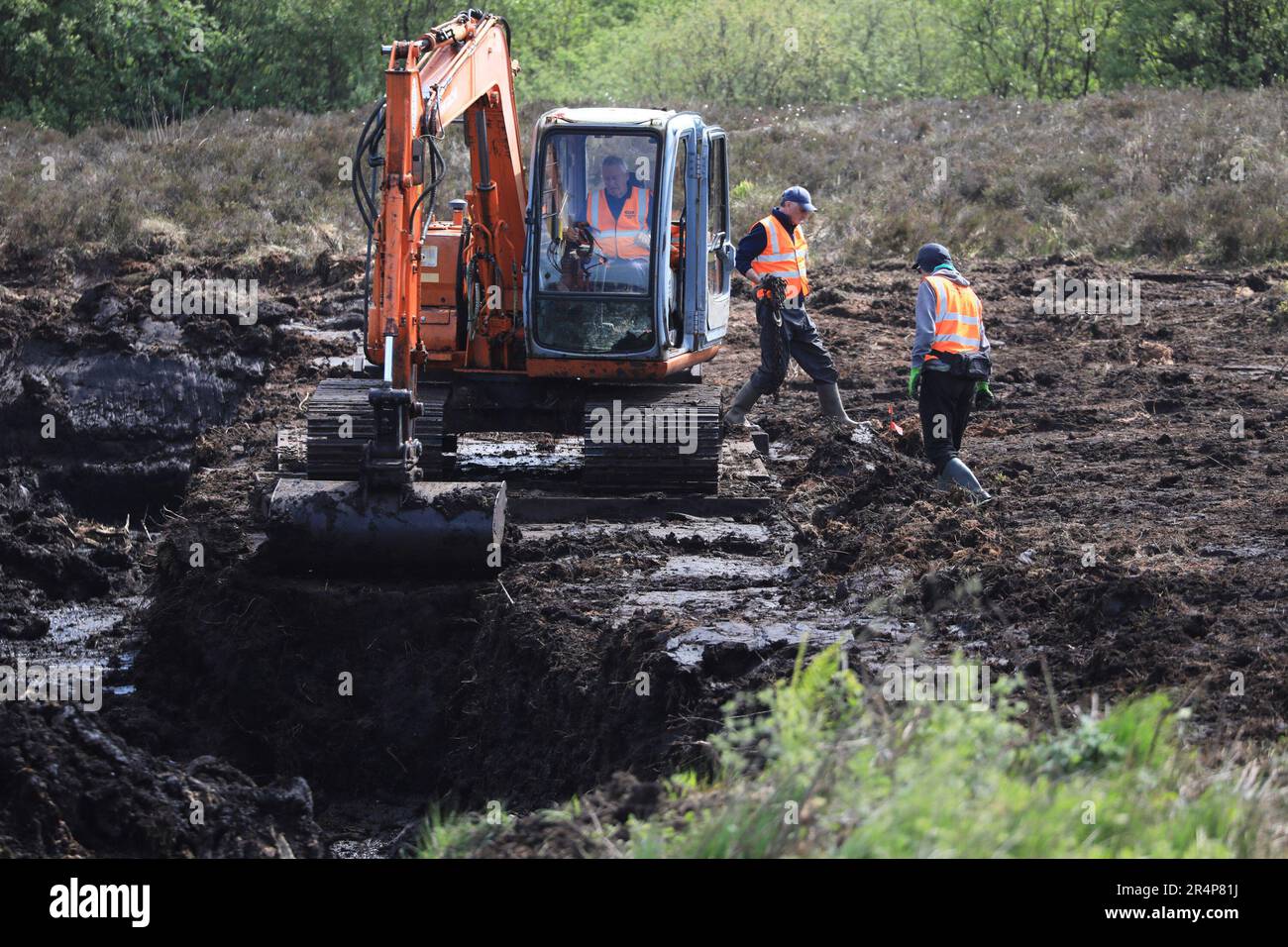 Picture of Independent Commission for the Location of Victims' Remains