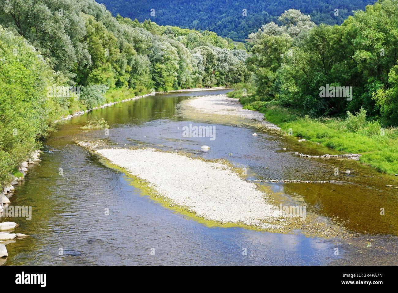 Mountain landscape with river and lush trees. Wild nature Stock Photo ...