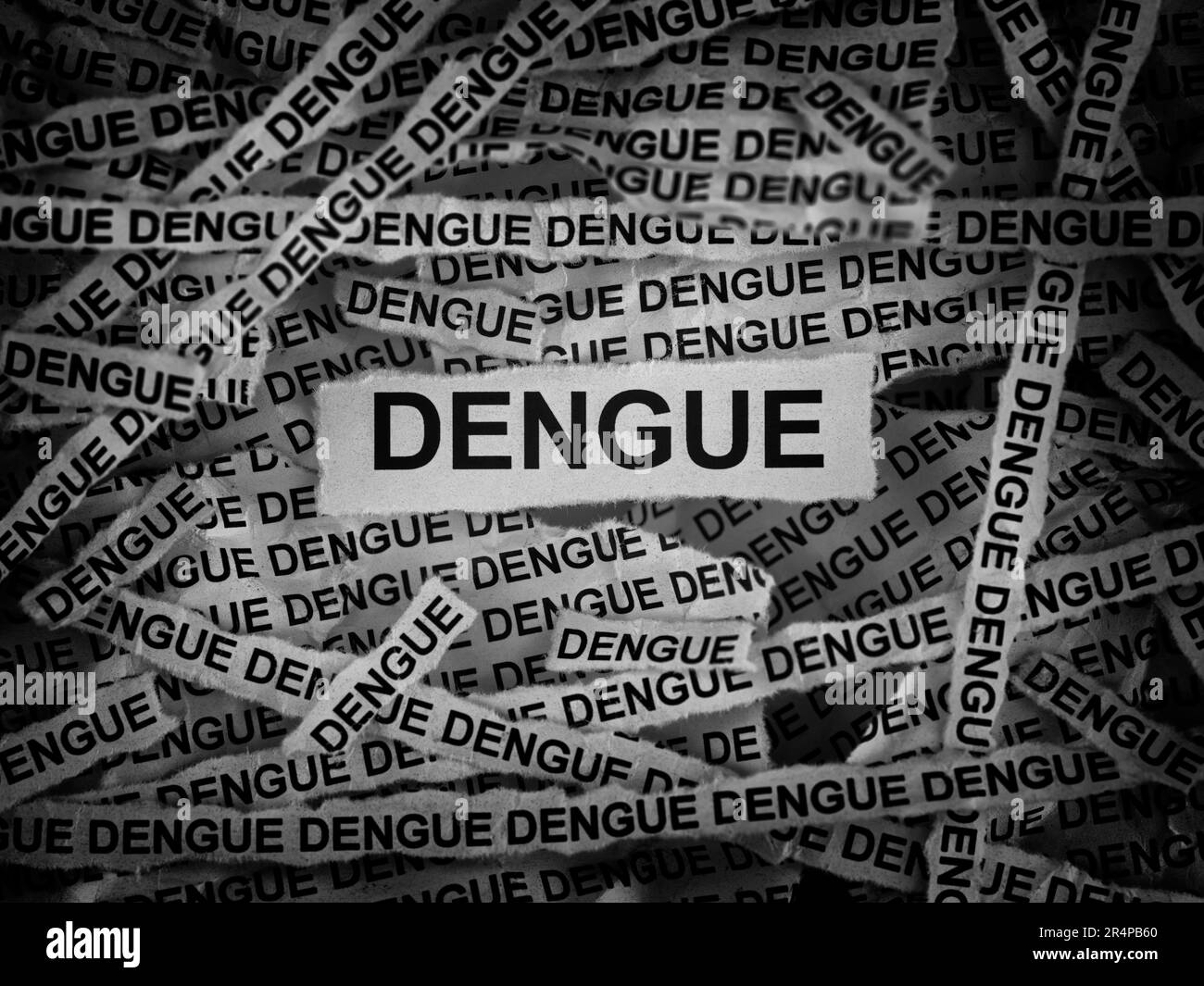 Strips of newspaper with the word Dengue typed on them. Black and white. Close up. Stock Photo