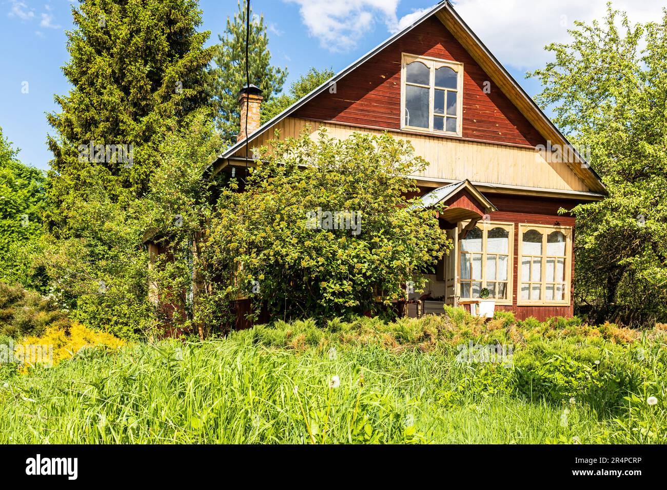 old wooden cottage in grassy courtyard in village on sunny May day ...