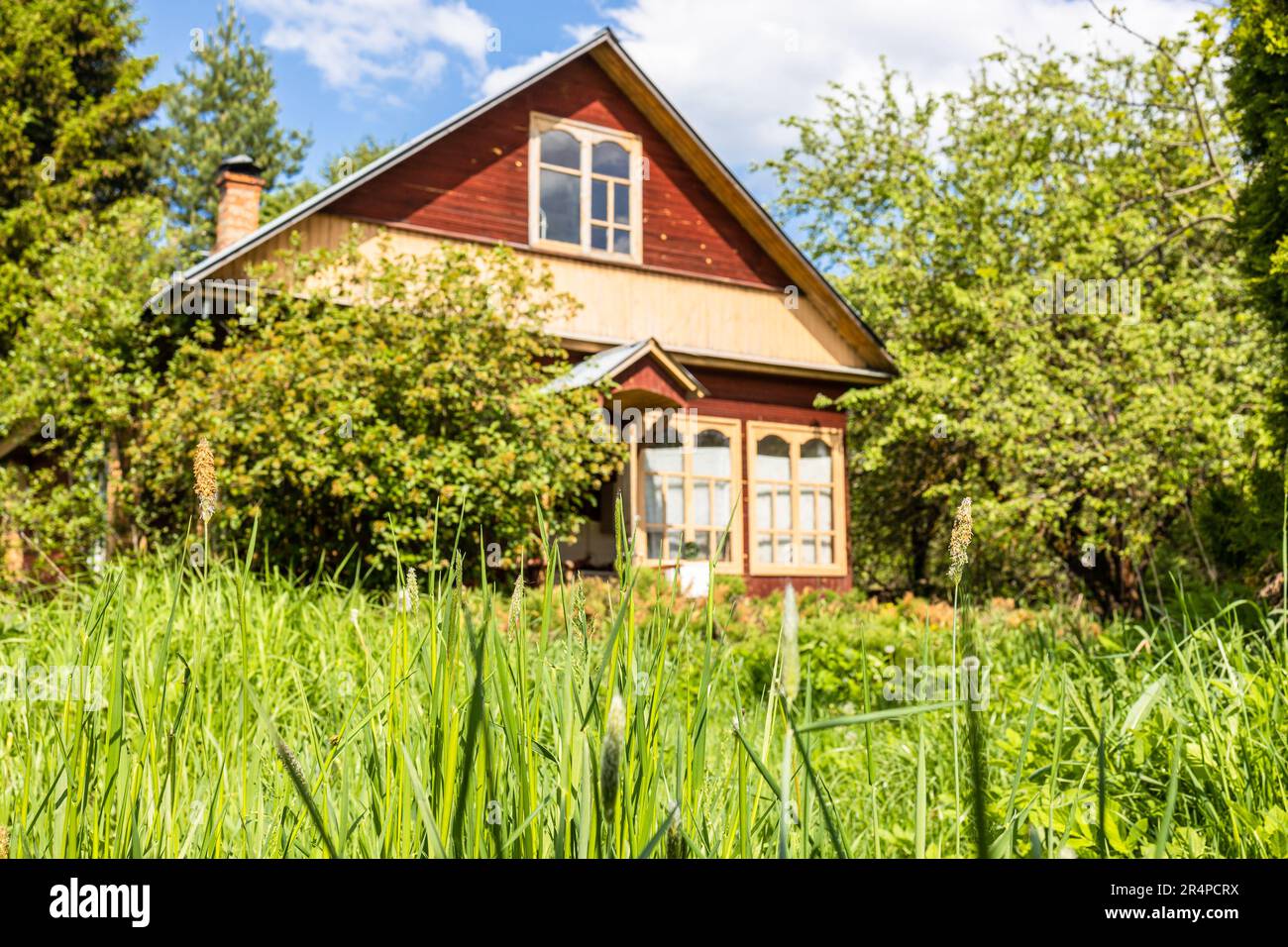 high green grass and wooden cottage on backyard in village on sunny May ...
