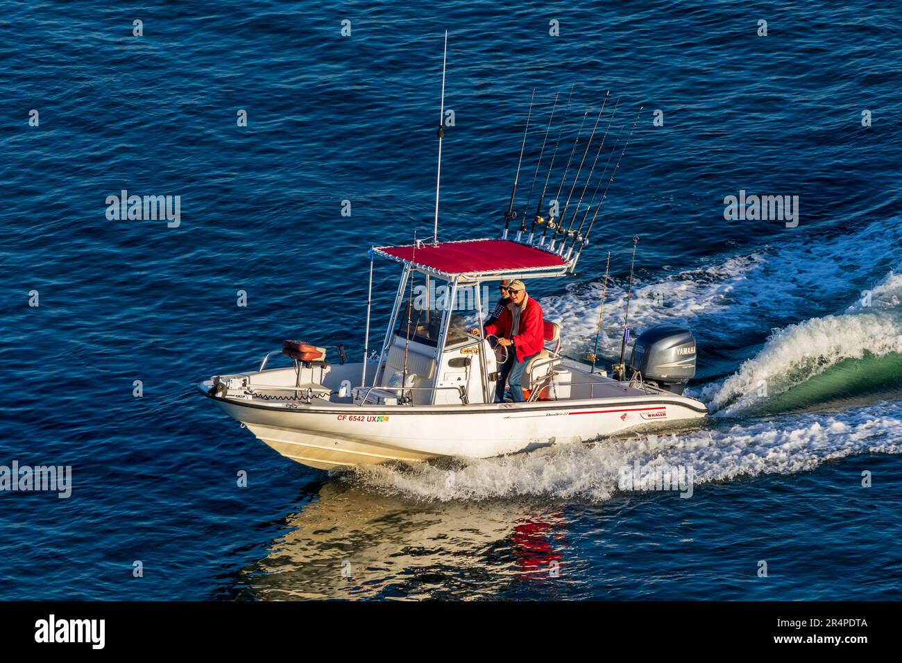 Sport fishing boat, San Diego Harbor, California, USA Stock Photo Alamy