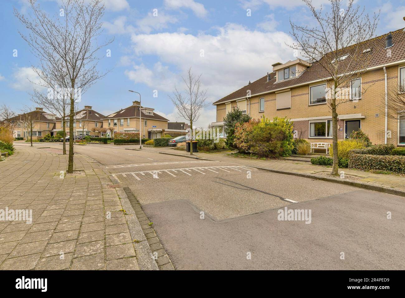 an empty street with houses in the background and trees on both sides ...