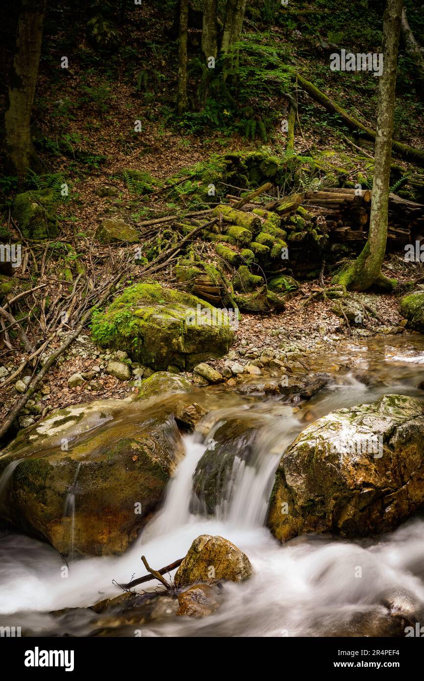 View of a creek cascading downhill through the rugged wilderness of the scenic Dr. Vogelgesang-Klamm gorge in Spital am Pyhrn, Austria Stock Photo