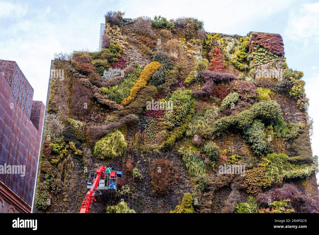 Spain, Madrid, a green bulding, plantings being attached to the exterior of a building Stock Photo