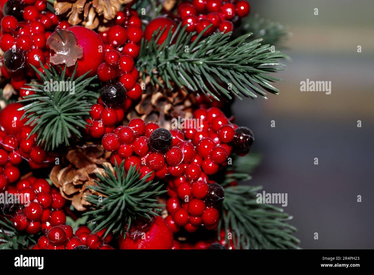 Christmas background with red berries, cones and fir twigs. Graphic ...