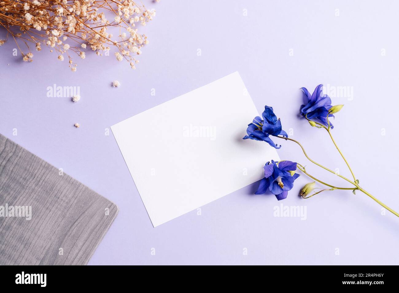 Blank card, notepad and blue Aquilegia Alpina flowers on purple table. Top view, flat lay, mockup. Stock Photo
