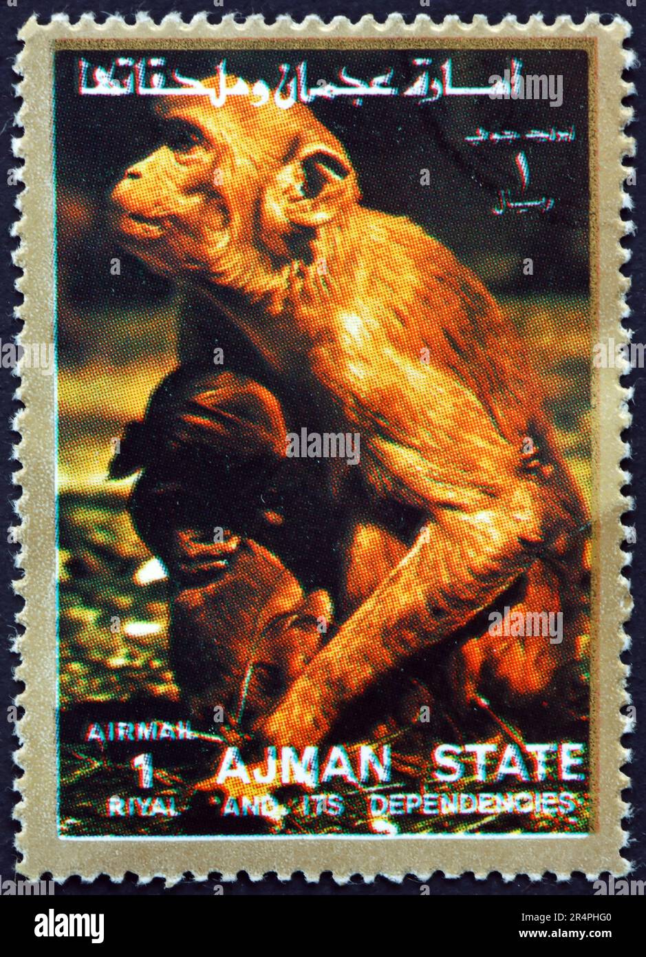 AJMAN - CIRCA 1973: a stamp printed in Ajman shows an Old World monkey, circa 1973 Stock Photo