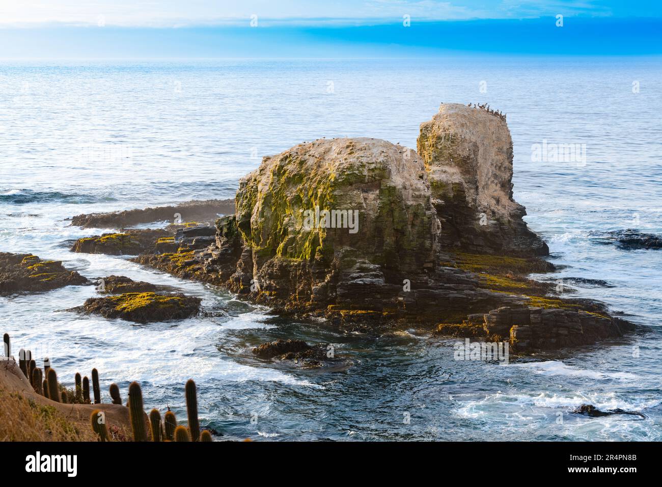 Cliff in Punta de Lobos at Pichilemu, VI Region, Chile Stock Photo