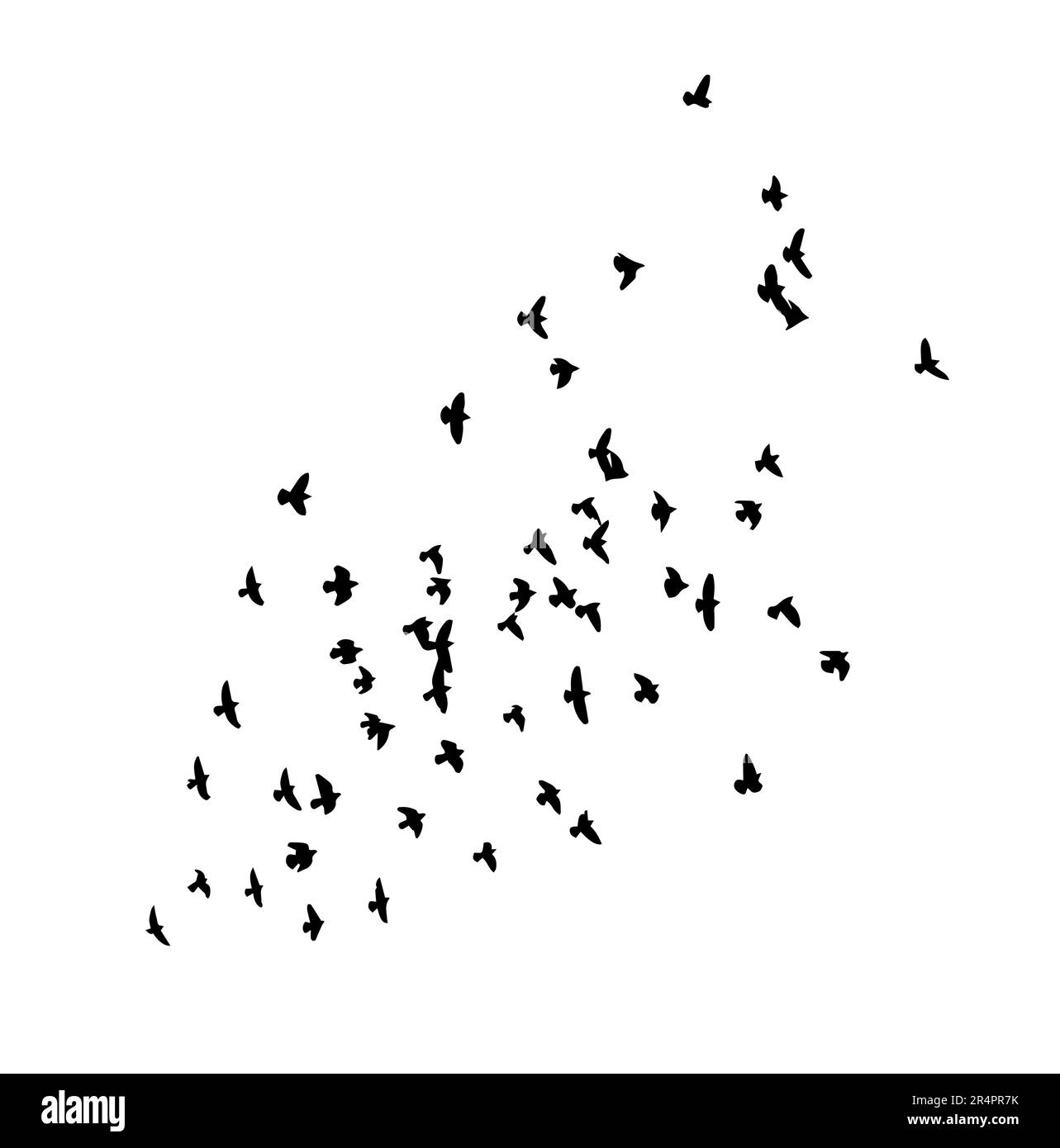 A flock of flying birds. Free birds. Vector illustration Stock Vector