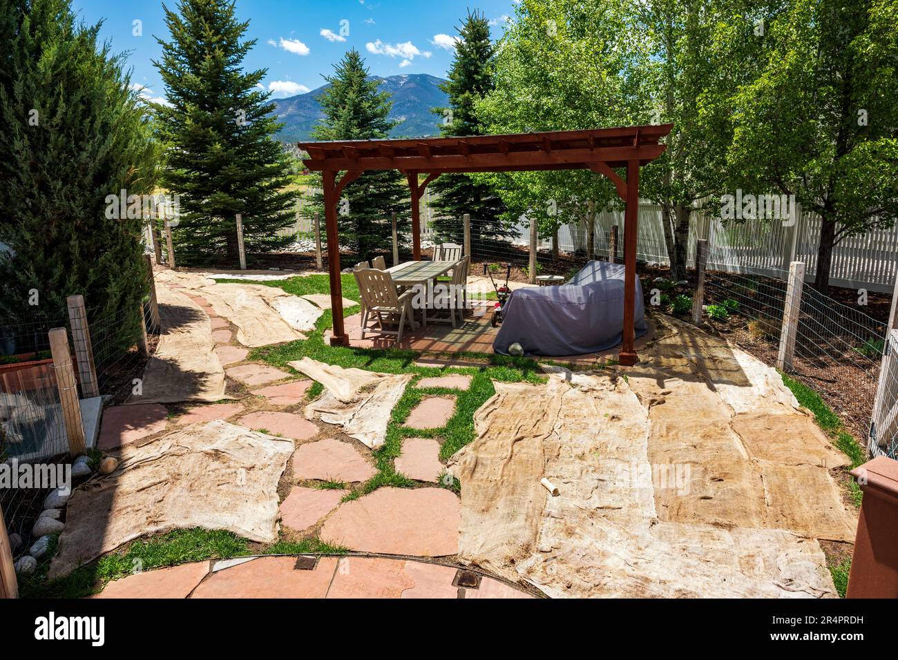 Residential backyard; new grass seed covered with burlap sheets; Salida