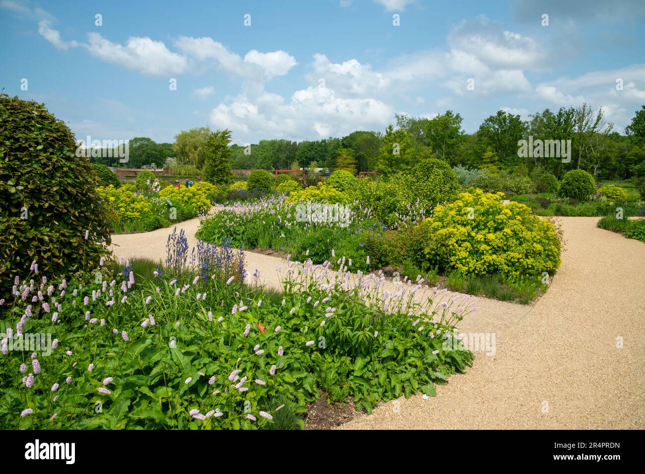 Flowerbeds in the Welcome garden at RHS Bridgewater, Worsley Greater Manchester, England. Stock Photo