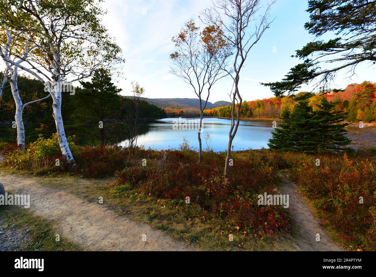 Fork in the road in the Fall season Stock Photo