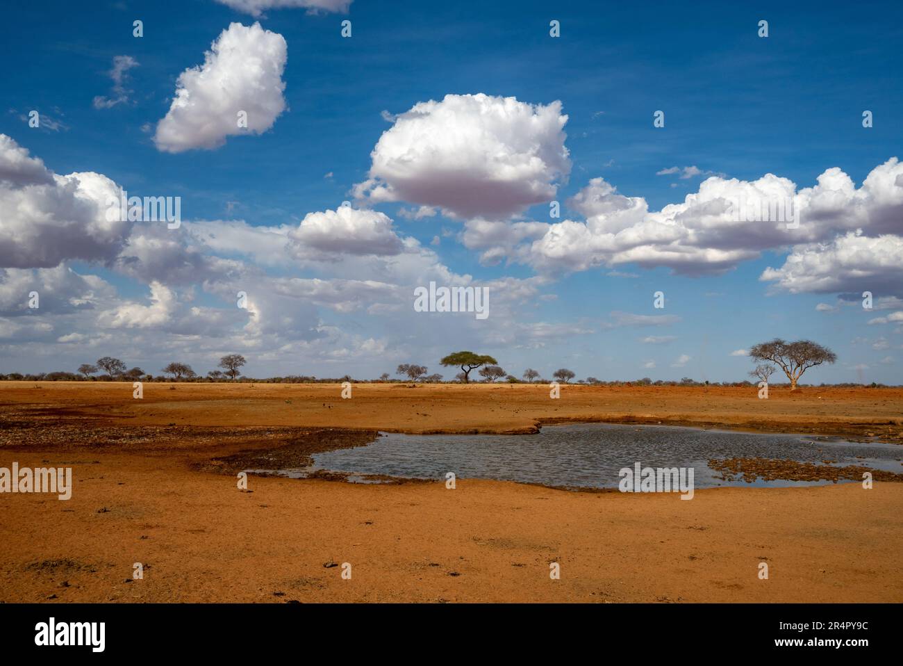 Waterhole to attract wildlife behind a wildness lodge. Kenya, Africa. Stock Photo