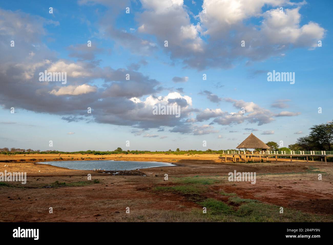 Waterhole to attract wildlife behind a wildness lodge. Kenya, Africa. Stock Photo