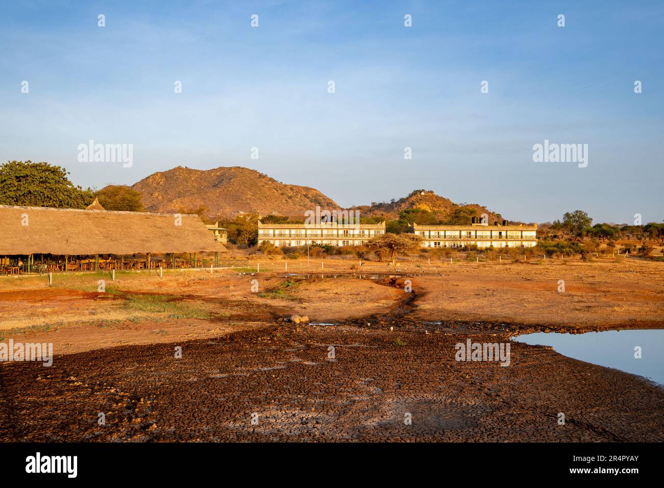 Waterhole to attract wildlife behind a wildness lodge. Kenya, Africa. Stock Photo