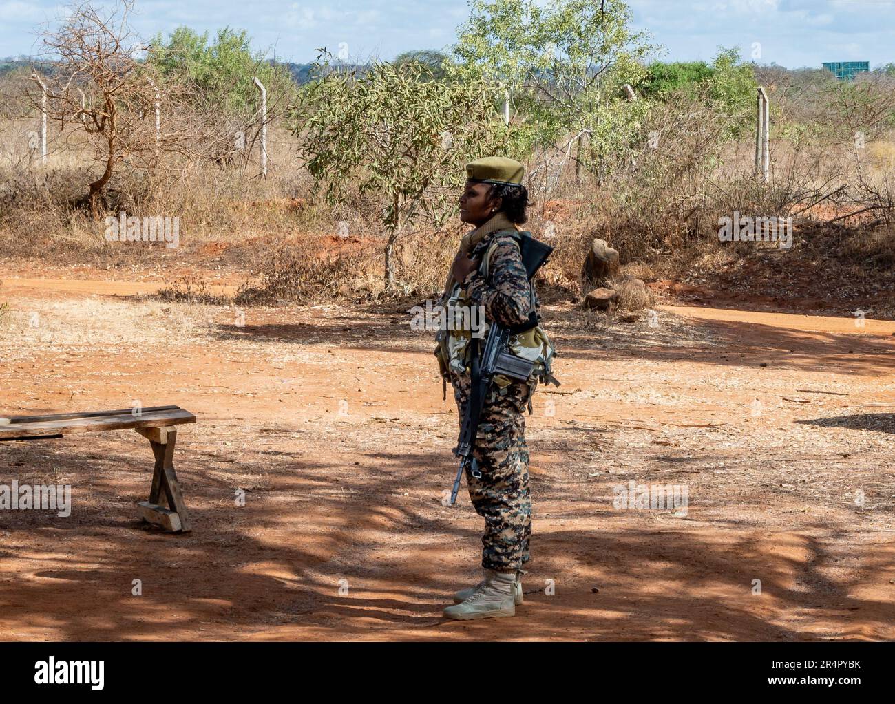 A female park ranger armed with long gun guards wildlife from poaching in a national park. Kenya