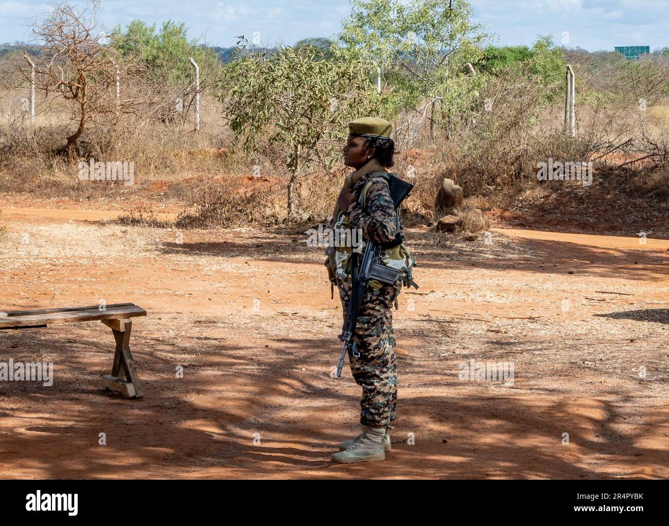 A female park ranger armed with long gun guards wildlife from poaching in a national park. Kenya, Africa. Stock Photo